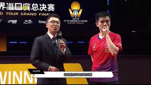 娱乐圈女明星 体育界饭圈文化,饭圈文化的跨界魅力