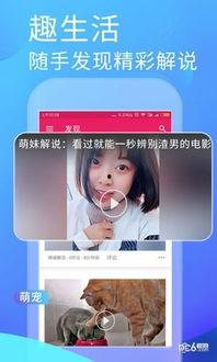 今日吃瓜是哪个app,探索热门社交APP的魅力