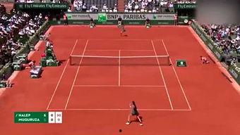 体育圈人,激情燃烧的岁月